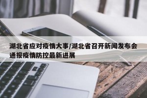 湖北省应对疫情大事/湖北省召开新闻发布会通报疫情防控最新进展