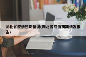 湖北省疫情初期情况(湖北省疫情初期情况报告)