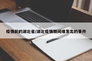 疫情前的湖北省/湖北疫情期间爆发出的事件